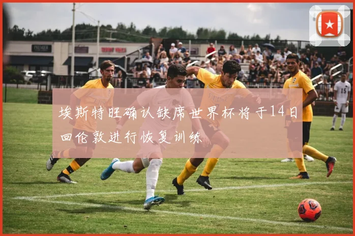 埃斯特旺确认缺席世界杯将于14日回伦敦进行恢复训练